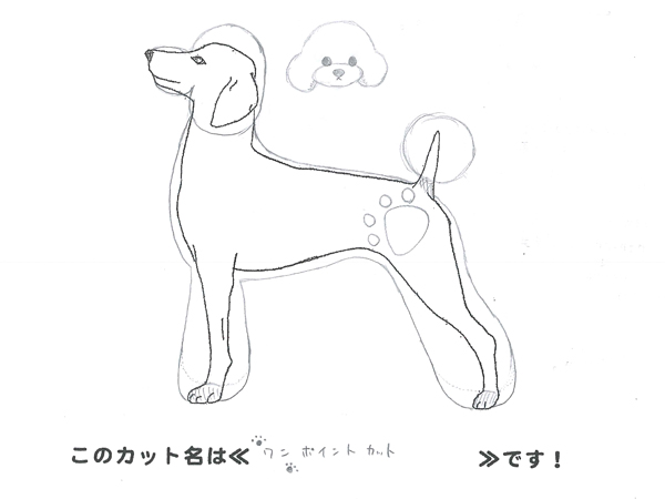 カットのデザインを考えました！
